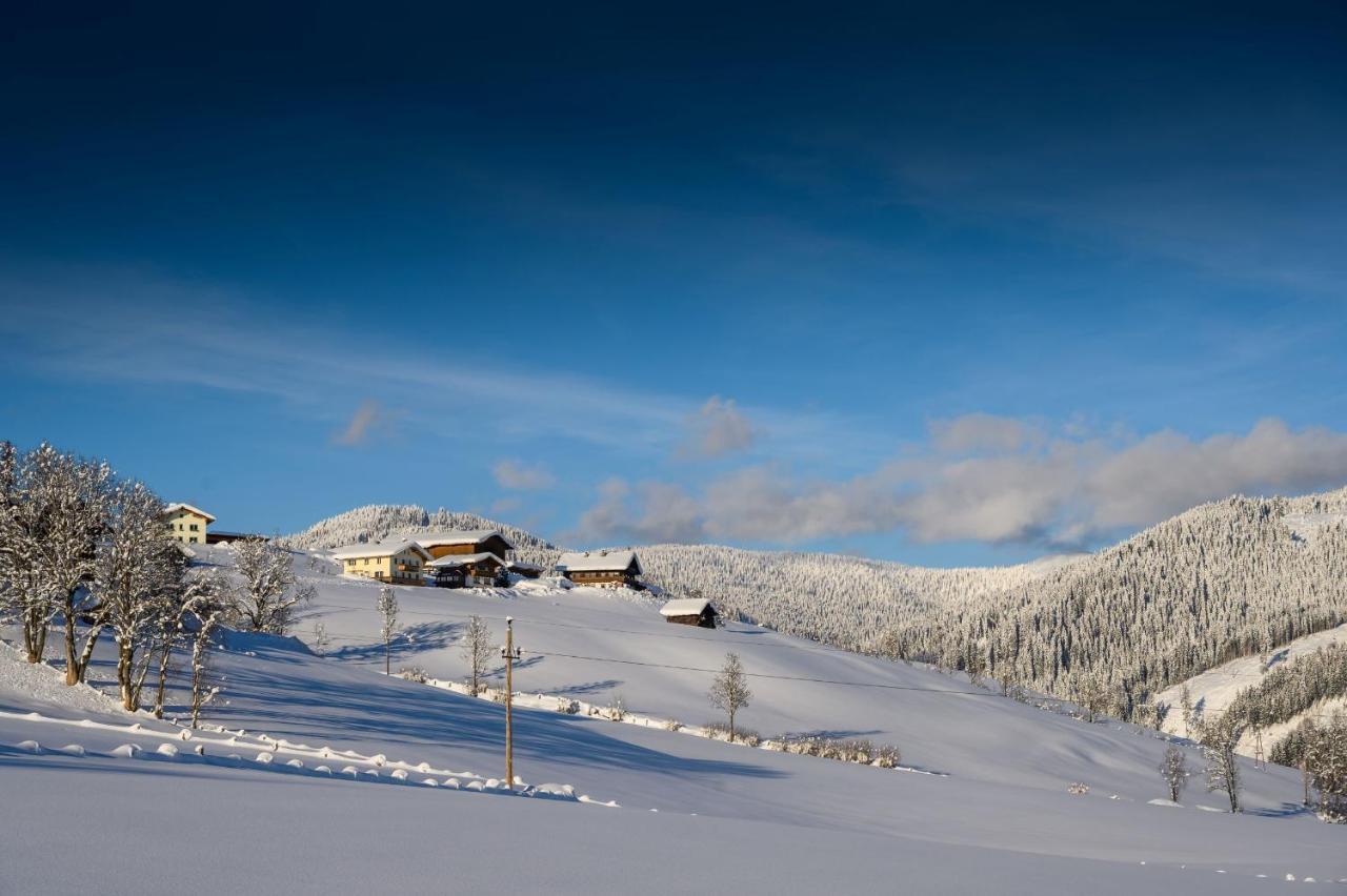 Parchenbauernhof Horner Hotel Flachau Bagian luar foto