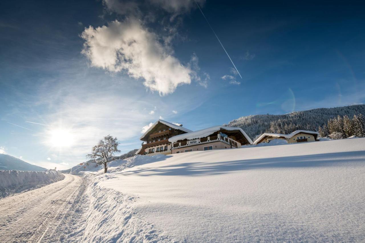 Parchenbauernhof Horner Hotel Flachau Bagian luar foto